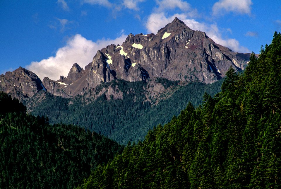 Olympic mountain range, Olympic National Forest.jpg