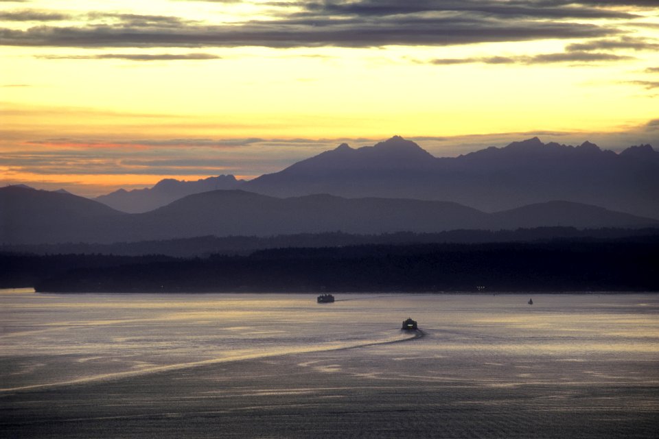 Olympics and Sound, Olympic National Forest