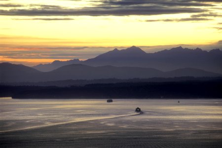 Olympics and Sound, Olympic National Forest photo