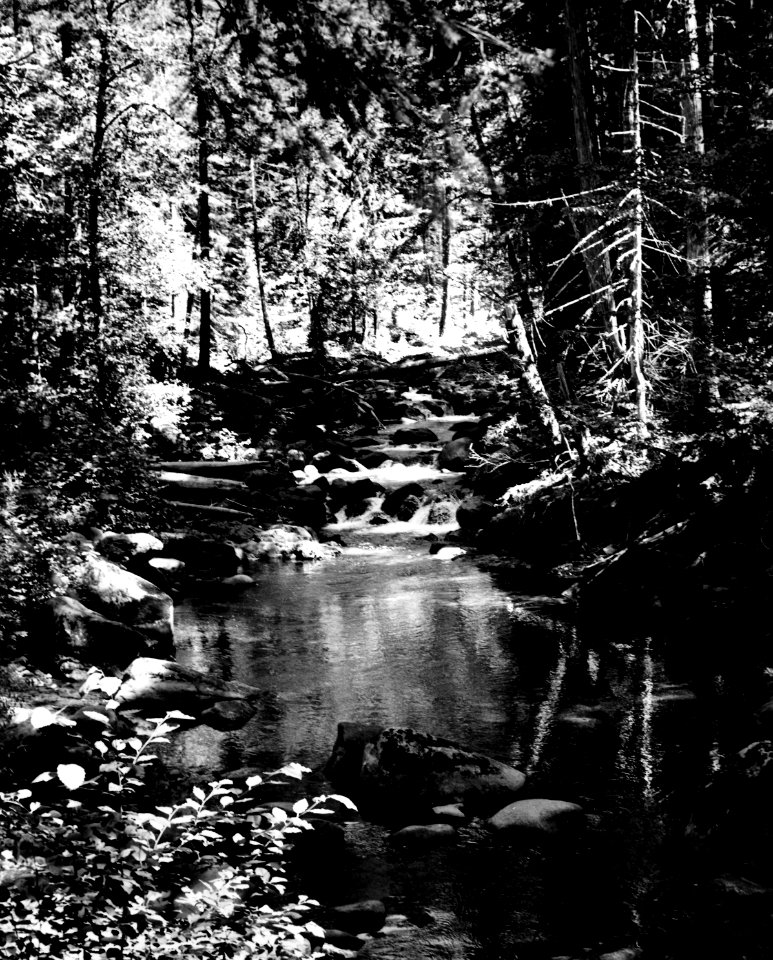 Willamette NF - French Pete Creek, OR 1971 Frear