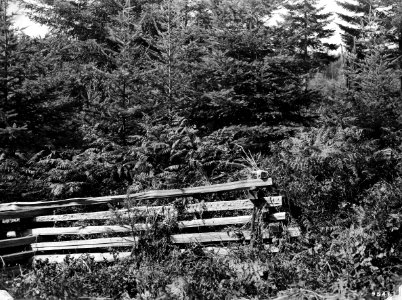 95467 Abandoned Claim Snoqualmie NF, WA 1911 photo