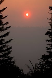 Smoke from Umpqua National Forest Fires, 2017