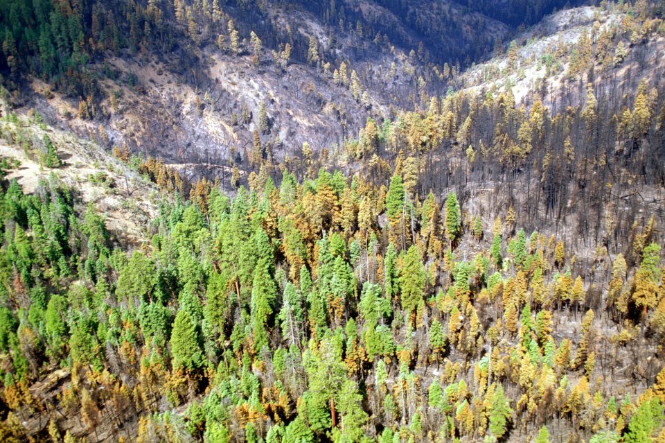 507 Mill Creek prescribed Natural fire , Ochoco National Forest