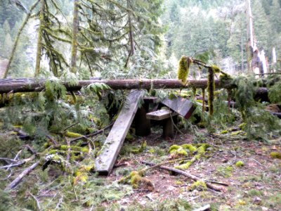 Middle Fork Campground Storm Damage-101, Willamette National Forest photo