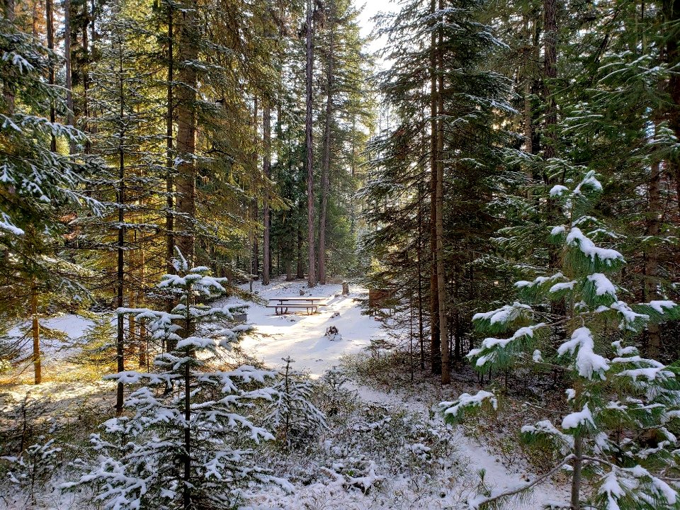 Lake Thomas Campground  with some snow Nov 21, 2018 Colville NF