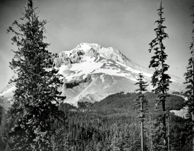 468891 Mt. Hood, Mt Hood NF, OR 1951 photo