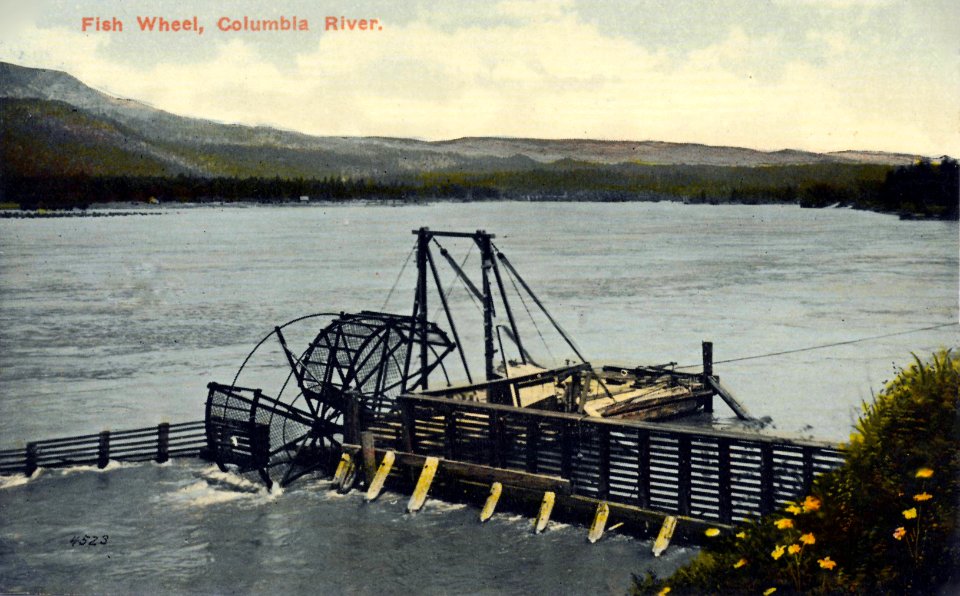 Fish Wheel, Columbia River (2)