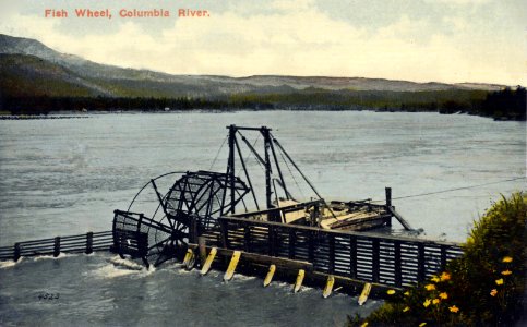 Fish Wheel, Columbia River (2) photo