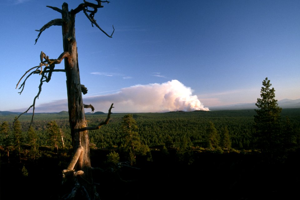 503 Smoke column prescribed fire, Deschutes National Forest