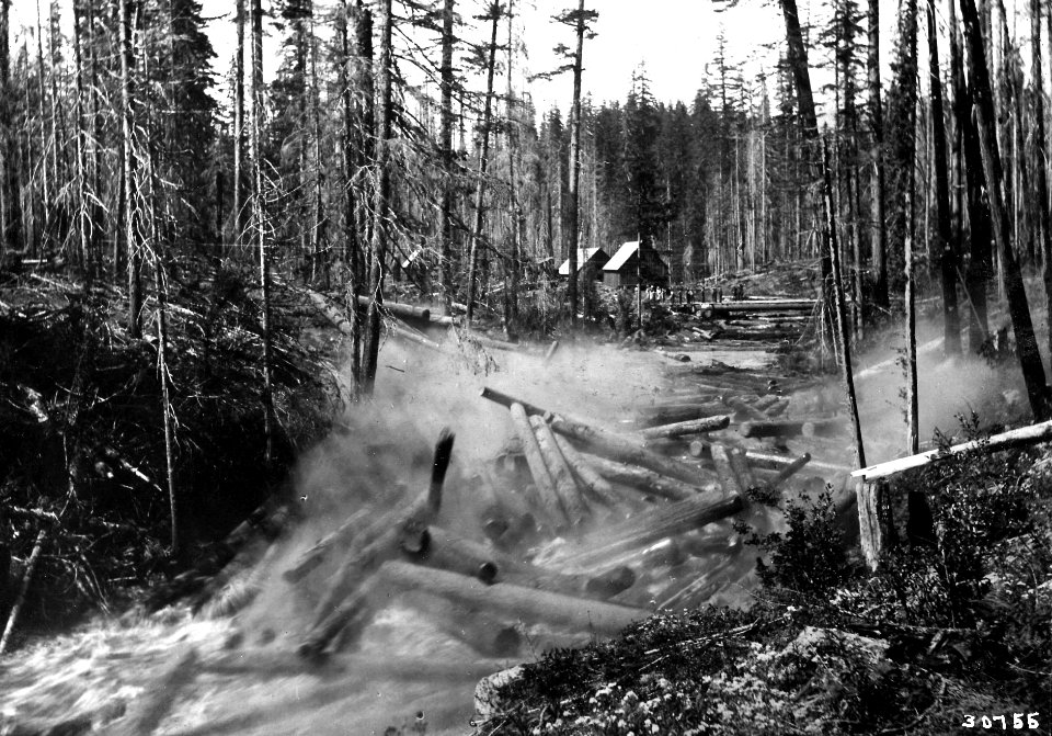 30755 Breaking Log Jam on Trout Creek, Washington