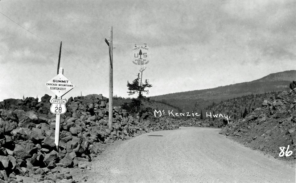 Cascade NF - McKenzie Pass Summit, OR c1925
