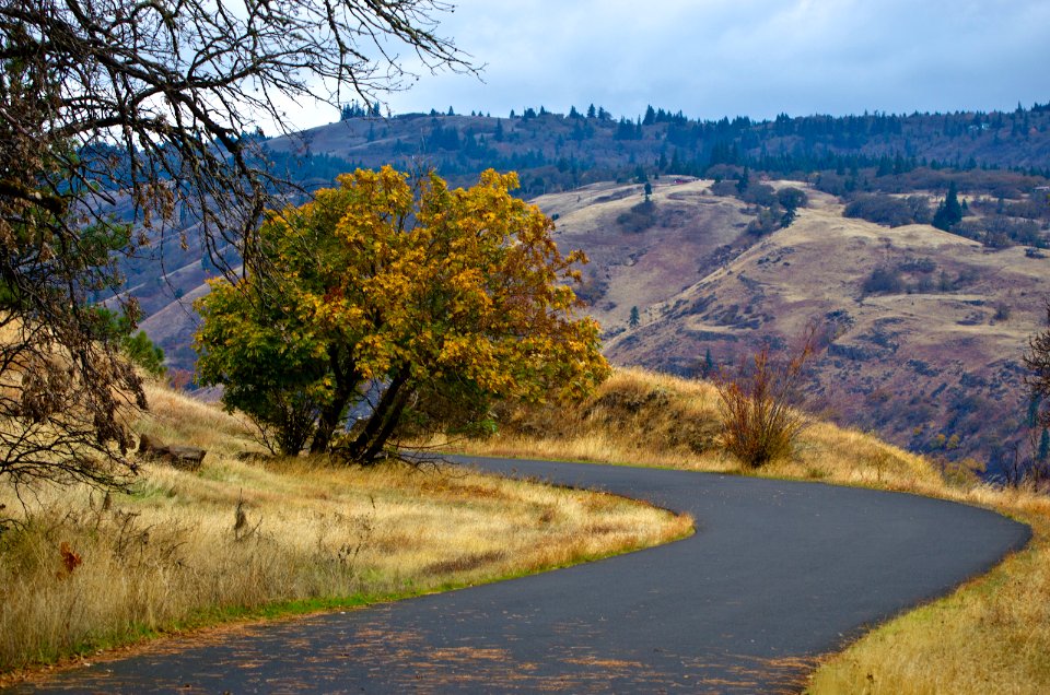 Mosier Twin Tunnel Trail in Fall-Columbia River Gorge
