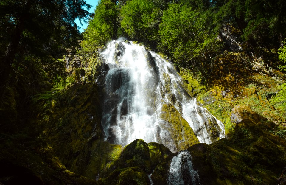 Moon Falls, Umpqua National Forest