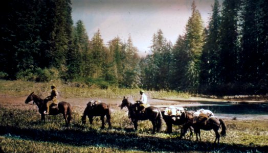 168874 Small Meadow, Umpqua NF 1922