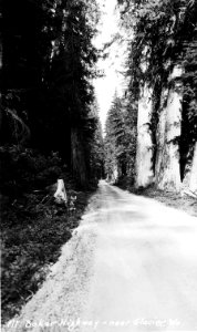 Mt. Baker Highway, near Glacier, Wa