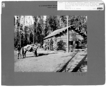 77987 USFS Hunter JK Carper at Billy Meadows RS, Wallowa NF, OR 1908 photo