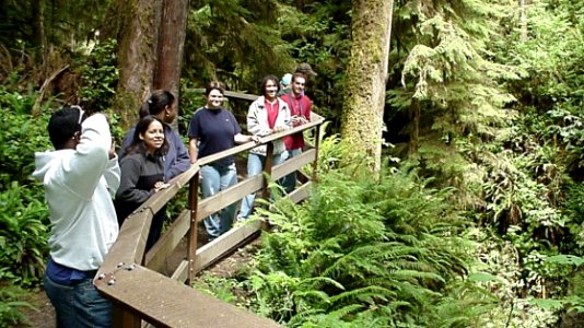 Group Looking at Falls - Unknown