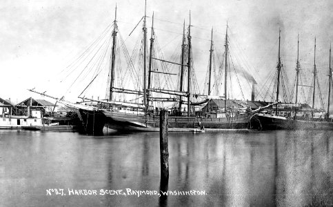 No 27 Harbor Scene, Raymond, Washington photo