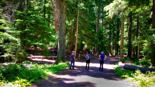 HIKING AT CULTUS LAKE-DESCHUTES