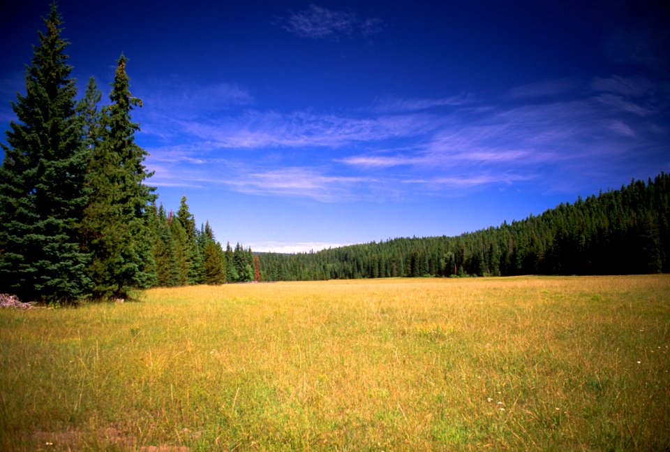DESOLATION MEADOW-UMATILLA