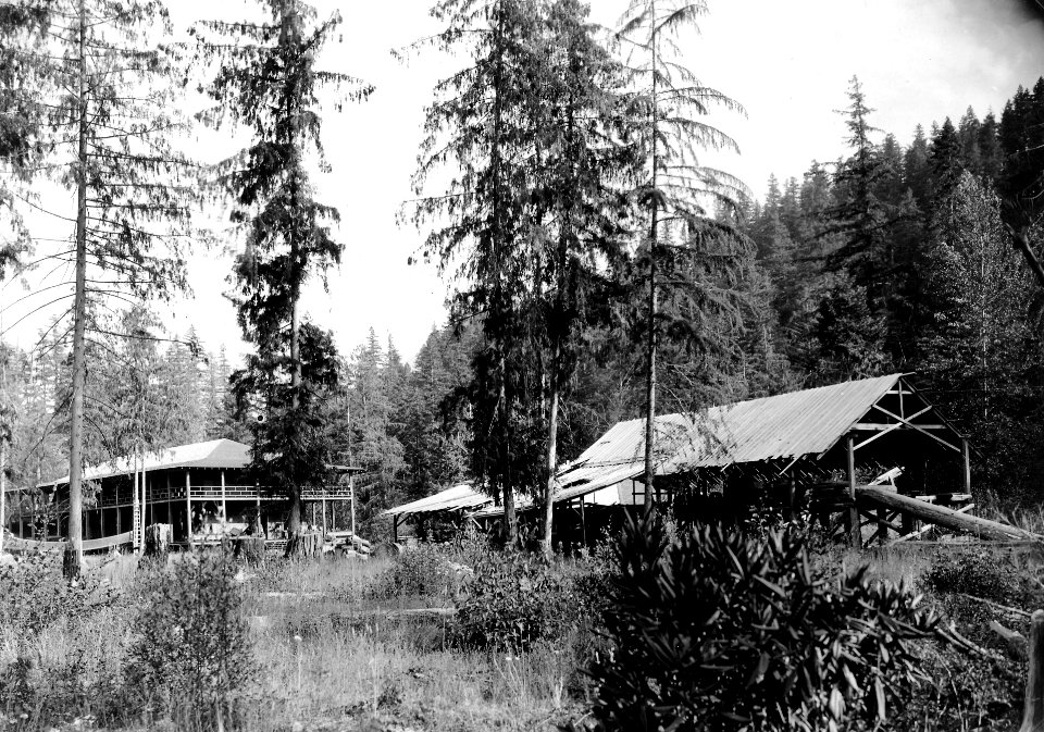 Cascade NF - McCredie Springs Resort, Main Hotel And Sawmill, OR