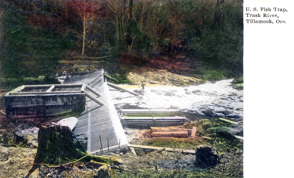 U.S. Fish Trap Trask River, Tillamook, Ore.