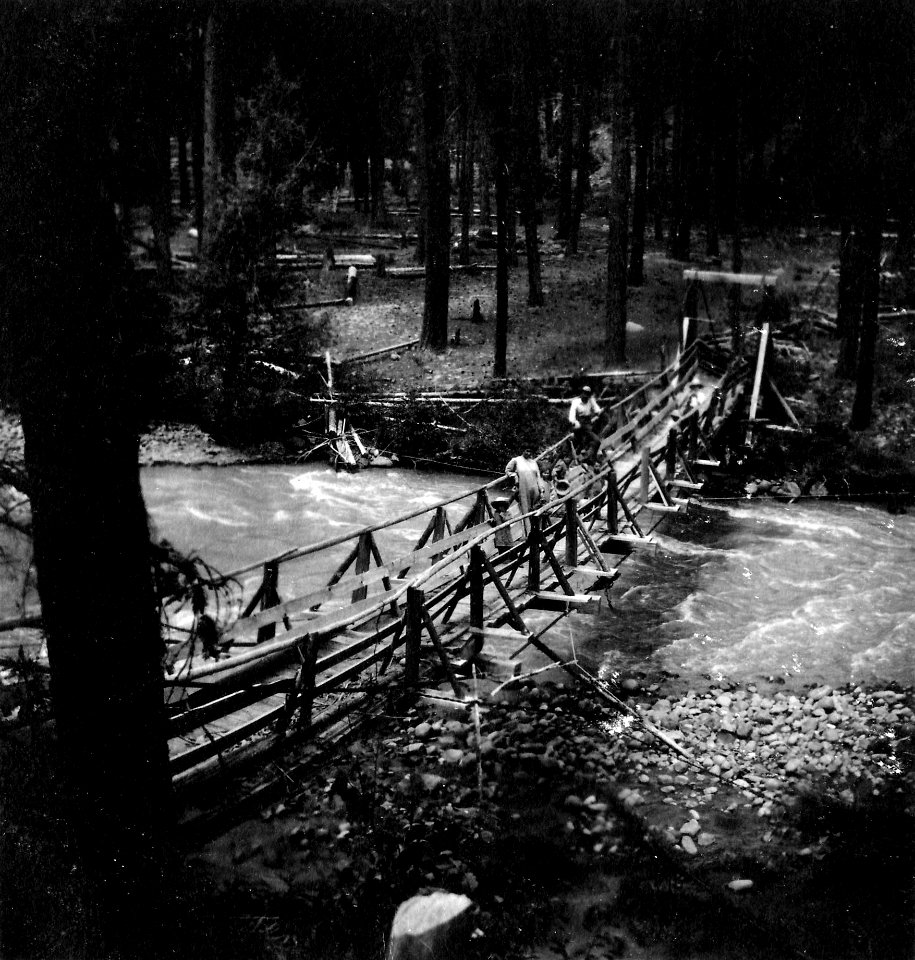 Mt. Adams Log Bridge with Family, WA 1906
