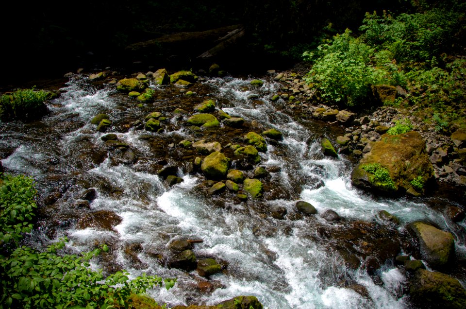 Tanner Creek Below Wahclella Falls-Columbia River Gorge