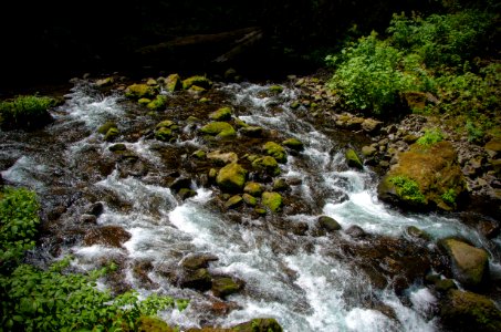 Tanner Creek Below Wahclella Falls-Columbia River Gorge photo