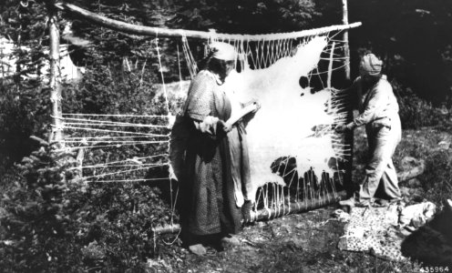 435964 Scraping Hide, Columbia NF, WA 1937 2