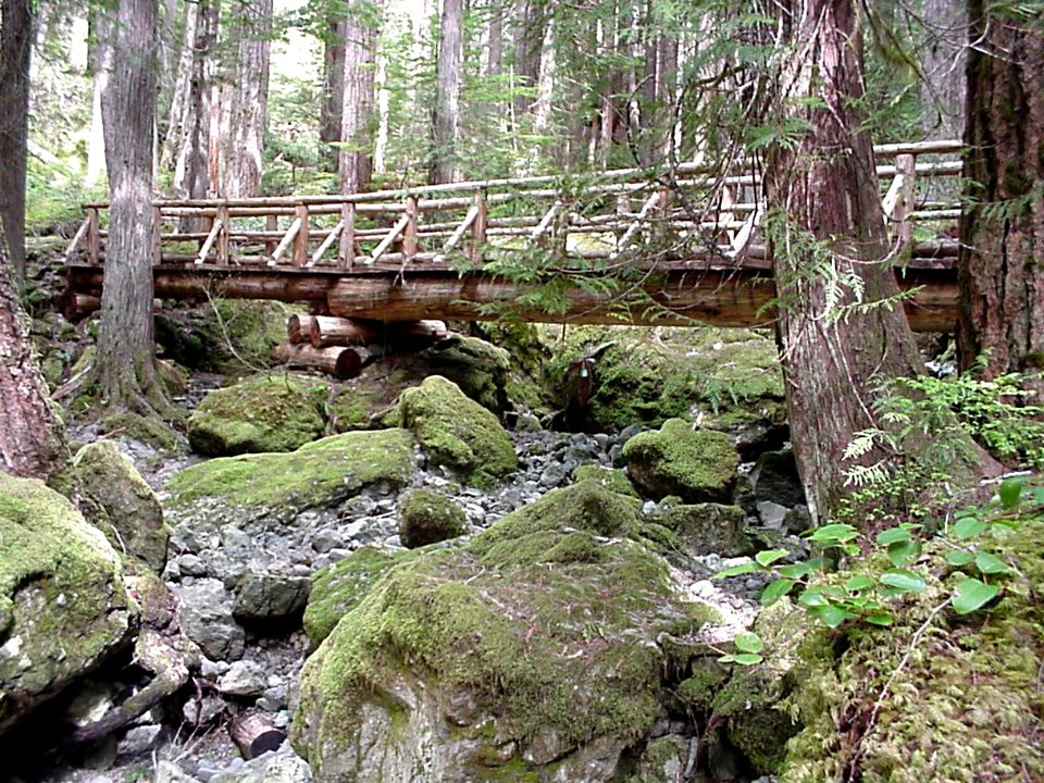 Lena Lake Trail Bridge over Lena Creek, Olympic National Forest photo