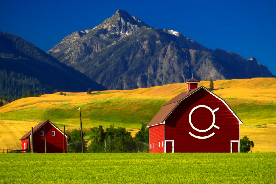Red Barn with Eagle Cap Wilderness Mountain in Background, Wallowa Whitman National Forest
