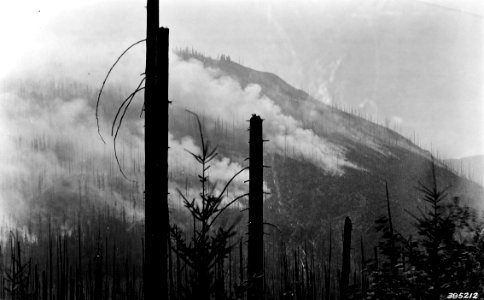 385212 Spud Hill Fire, Columbia NF, WA 1937 photo