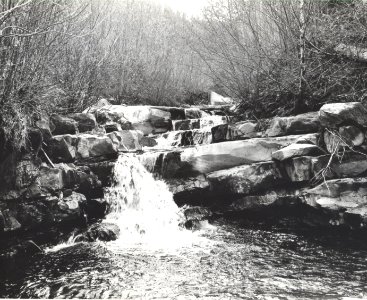 Five Rivers Stream change to accommodate Road 1954 Fich blocked