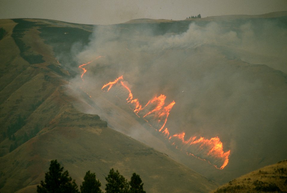 145 Wallowa Whitman National Forest Hells Cyn  Fire