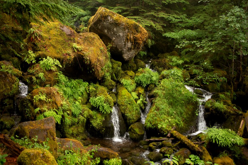 pretty-stream-scene