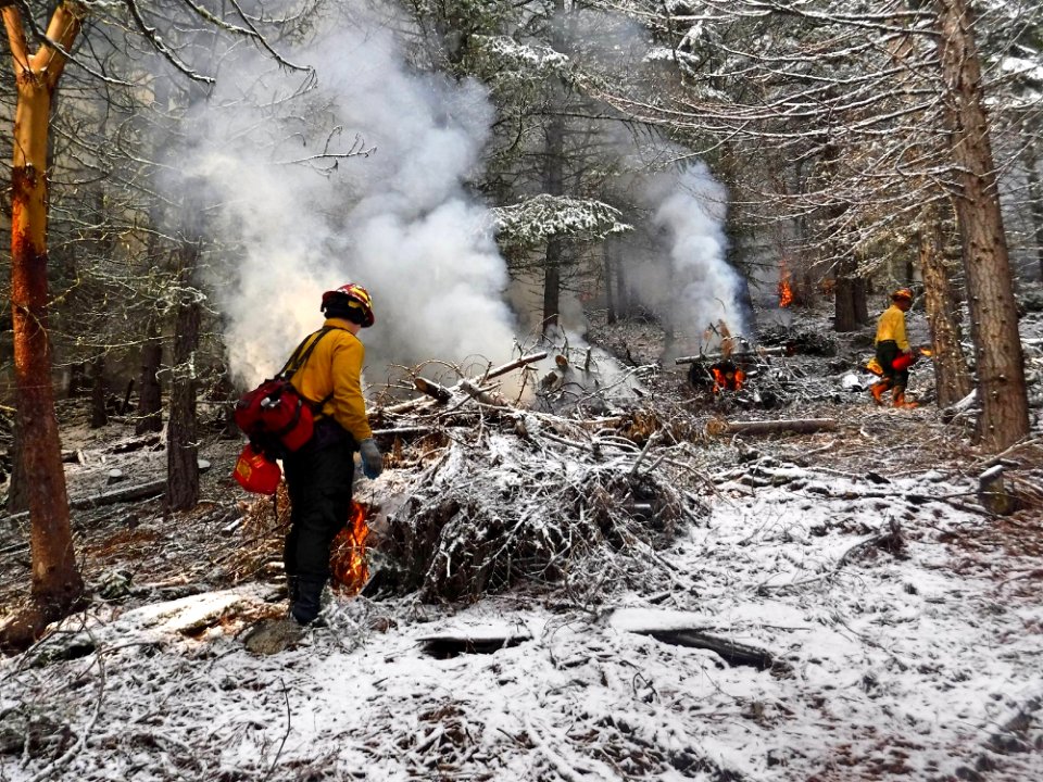 Pile burning at Rogue River-Siskiyou National Forest December 2018