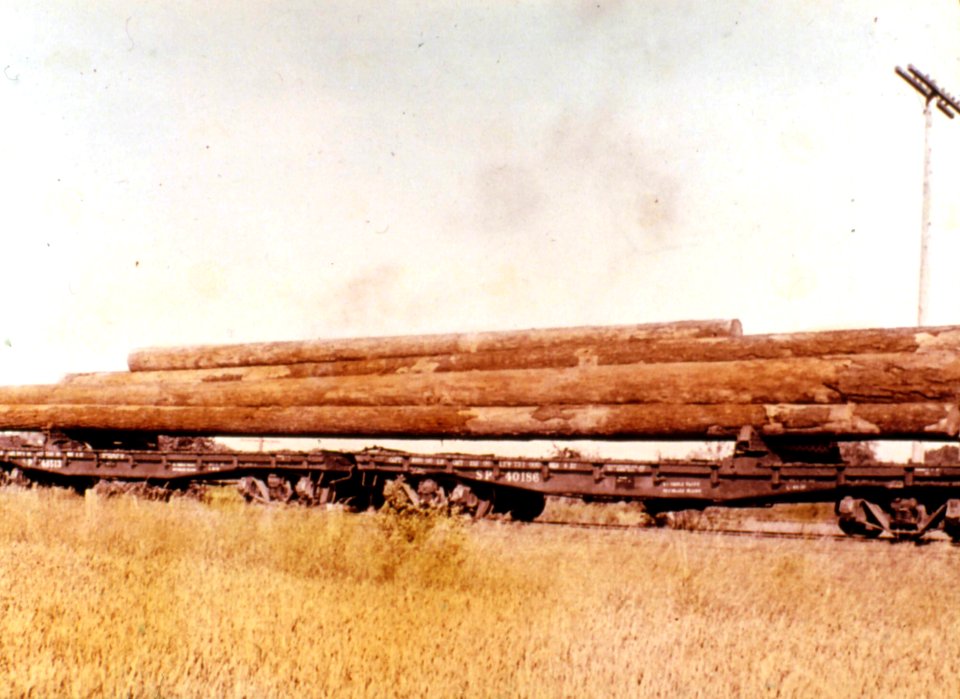 215502 Long Logs on RR Cars, Forest Grove, OR