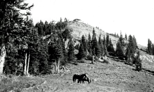 Nannie Lookout House, Columbia National Forest, WA 1944
