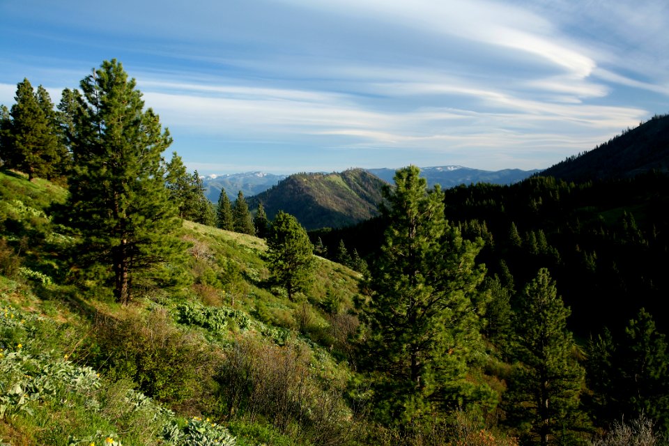 View of Derby Canyon, Okanogan Wenatchee National Forest