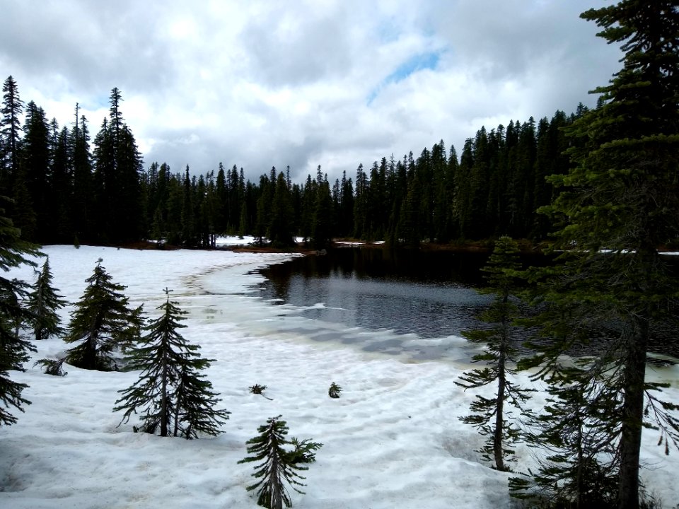 20200614 Gifford Pinchot National Forest Winter-like conditions at Junction Lake. In some places snow may not fully melt out until July.