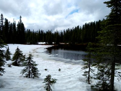 20200614 Gifford Pinchot National Forest Winter-like conditions at Junction Lake. In some places snow may not fully melt out until July.