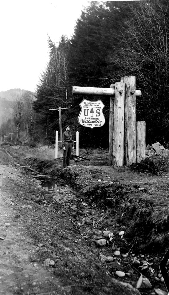 Willamette NF - Entrance Sign on Santiam Hwy, OR photo