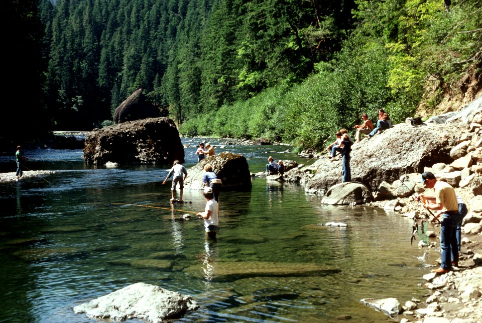 Fishing along Clackamas River, Mt Hood National Forest