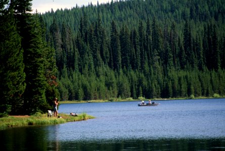 Fishing along shoreline Jubilee Lake, Umatilla National Forest