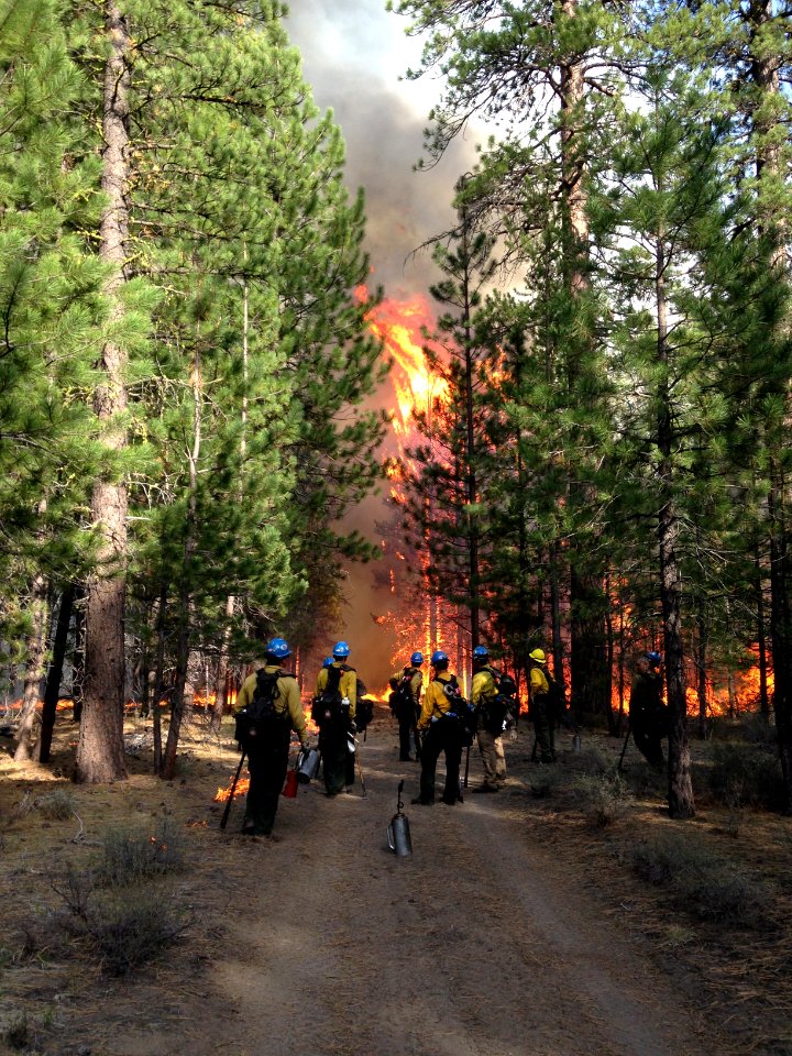 Chemult Ranger District 2015 - Spring prescribed burning, Fremont-Winema National Forest