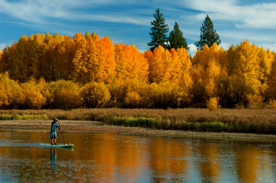 Deschutes National Forest Recreation paddle boarder