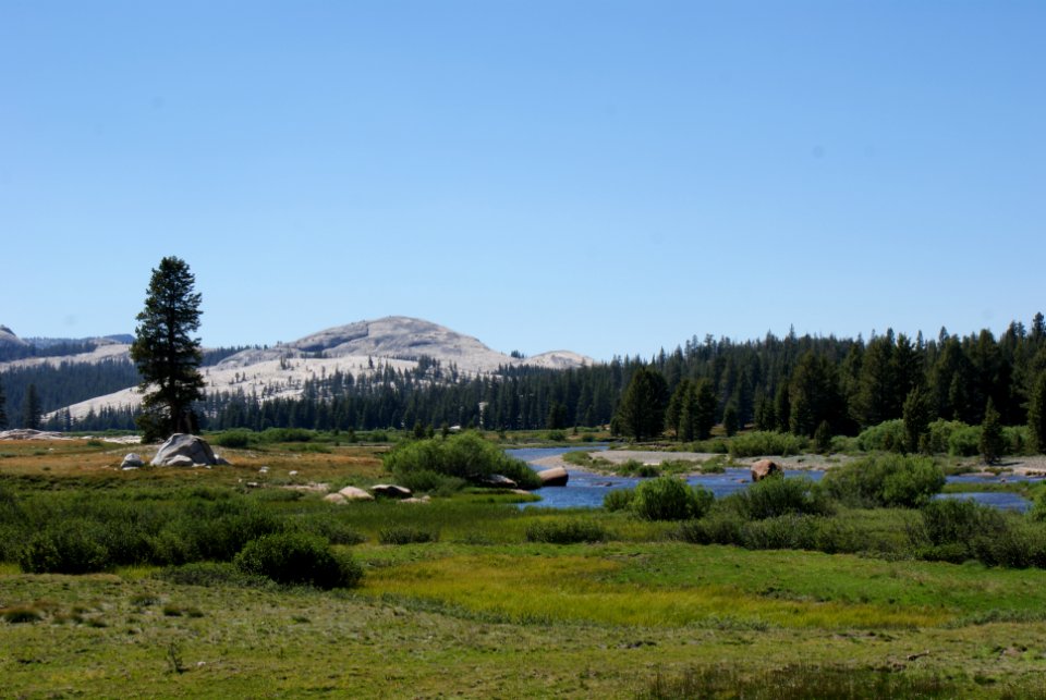 Yosemite National Park, California