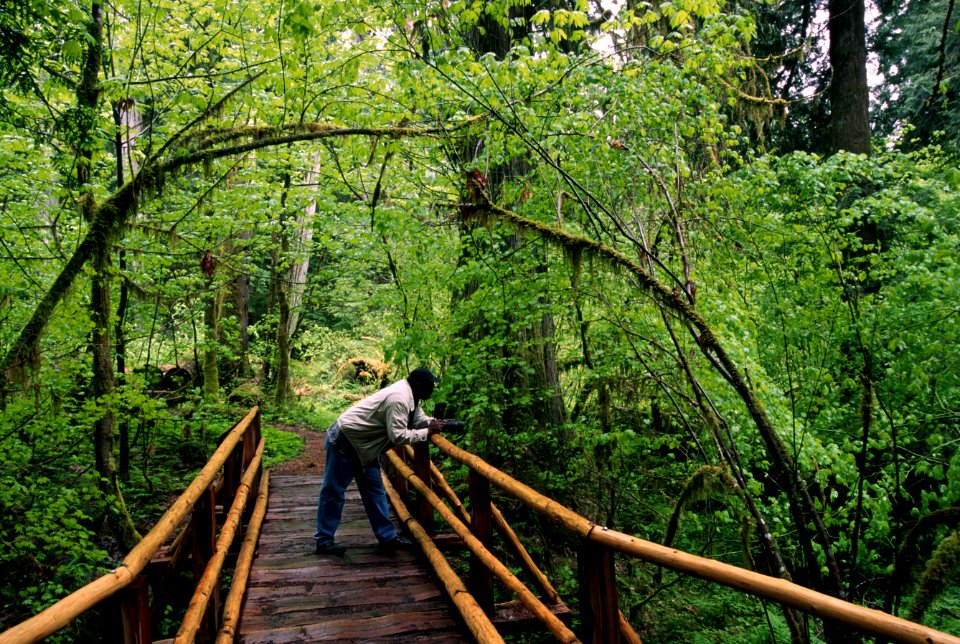 Hiking old growth forest trail, Gifford Pinchot National Forest-2.jpg