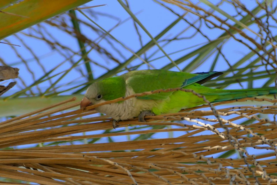 P1340265